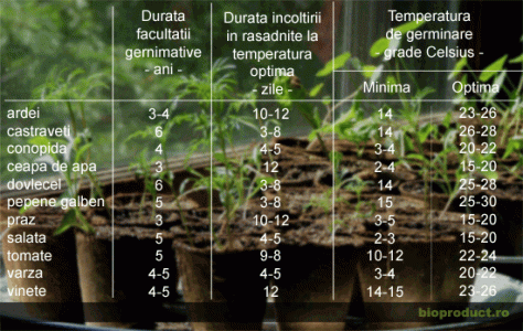 Calitatea şi verificarea seminţelor înainte de semănat, în agricultura ecologică