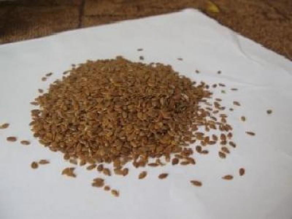 AISR - de acord cu noul Regulament al semintelor