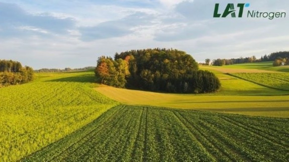 Recomandari pentru fertilizarea graului din toamna