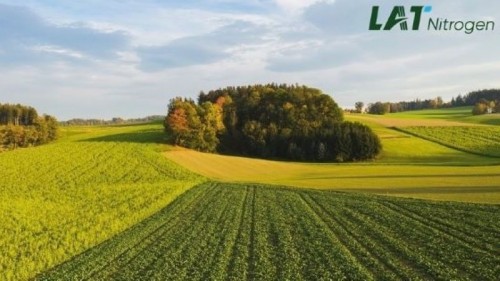 Recomandari pentru fertilizarea graului din toamna
