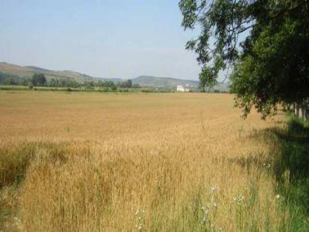 Buletin agrometeorologic pentru perioada 10-14 septembrie