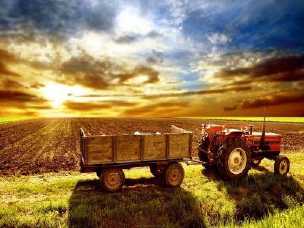 Calendarul principalelor lucrari agricole efectuate in luna septembrie