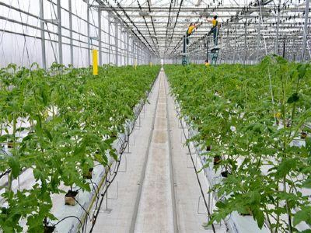 Investitie de 700.000 de euro intr-o sera unica in vestul tarii