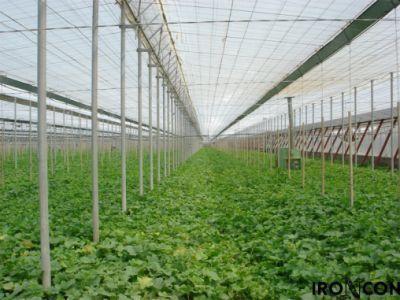 Cat costa infiintarea unui solar de 500 de metri petrati, complet echipat