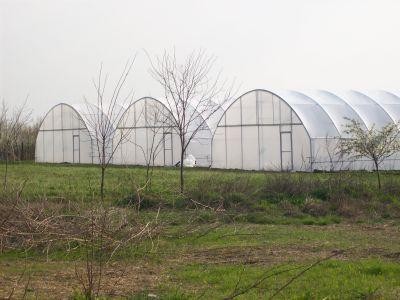 Pregatirea solului din sere pentru noile culturi