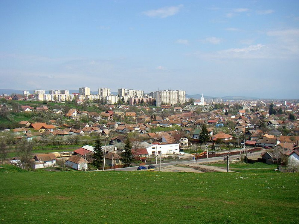 Oraşul Sfântu Gheorghe va organiza, în această vară, festivalul florilor comestibile
