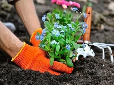 5 lucruri pe care trebuie sa le faci in gospodarie inainte de venirea primaverii