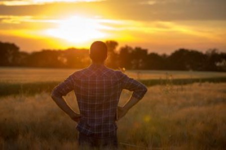 5 probleme care afecteaza profund piata agricola din Romania