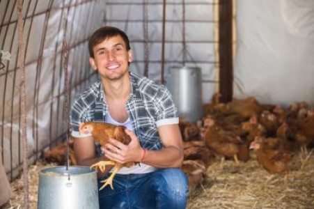 7 greseli de evitat in constructia cotetelor din gospodarie