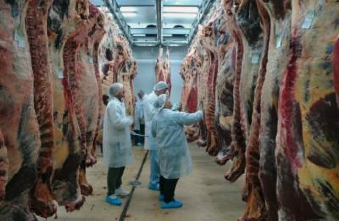 Colaborare intre specialistii in siguranta alimentelor din Romania si Republica Moldova