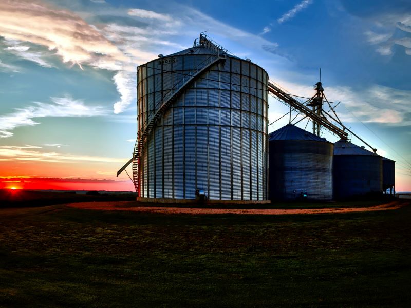 Cum pastrezi recolta in siguranta: Ghid pentru optimizarea depozitelor agricole