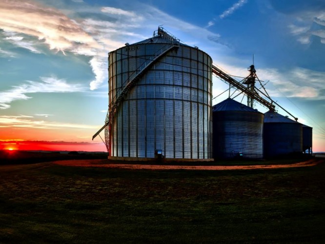 Cum pastrezi recolta in siguranta: Ghid pentru optimizarea depozitelor agricole