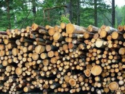 Impozitul Agricol pentru Silvicultura si Piscicultura: de la 1 februarie 2013