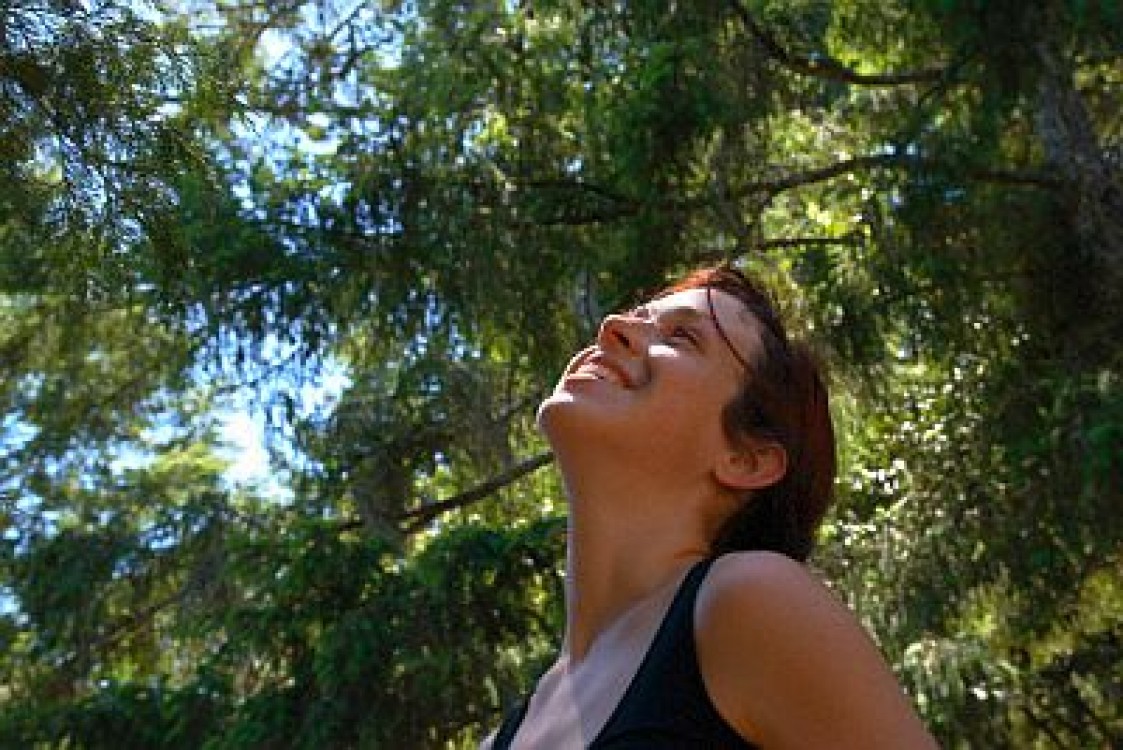 Silvoterapia, terapia prin arbori