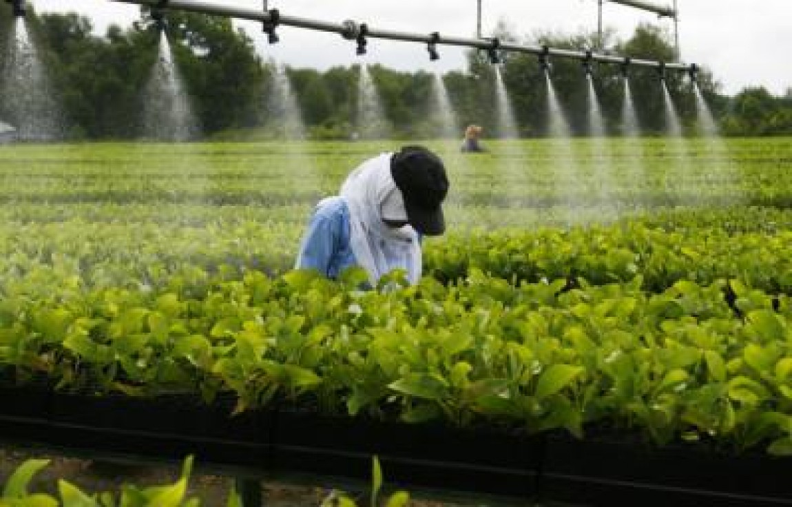 Fermierii unguri vor primi gratuit apa pentru irigatii