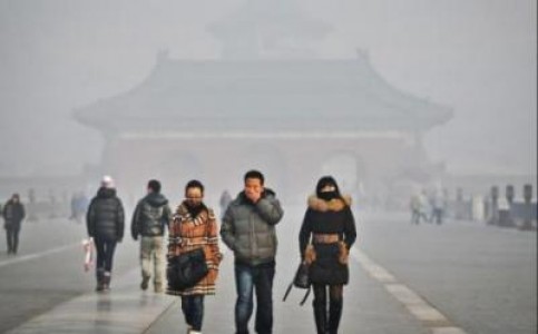 Atentie la plantele medicinale din China