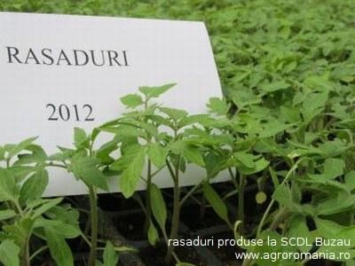 Cumparati soiuri de legume romanesti