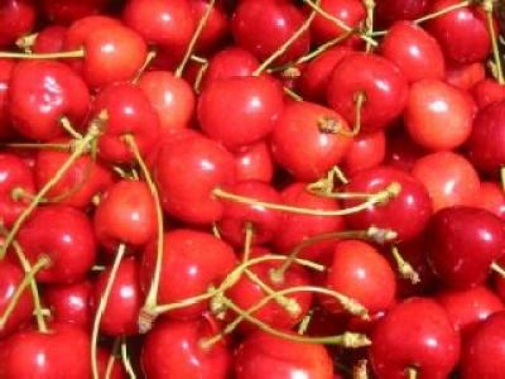 Soiuri de cirese care se cultiva in Romania
