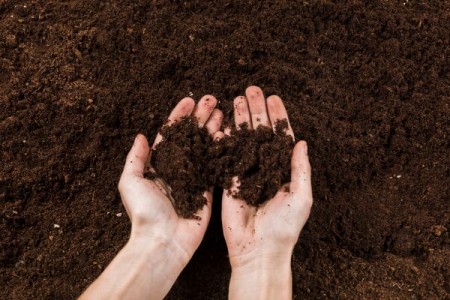 Soluri acide, soluri alcaline. Ce inseamna acesti termeni?