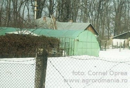 Ajutoare de pana la 7.500 de euro pentru proprietarii de solarii care au fost afectati de ger si zapezi