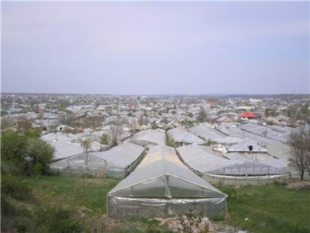 Pe 24 iunie voi fi la Galaţi, în comuna Matca, în patria legumiculturii