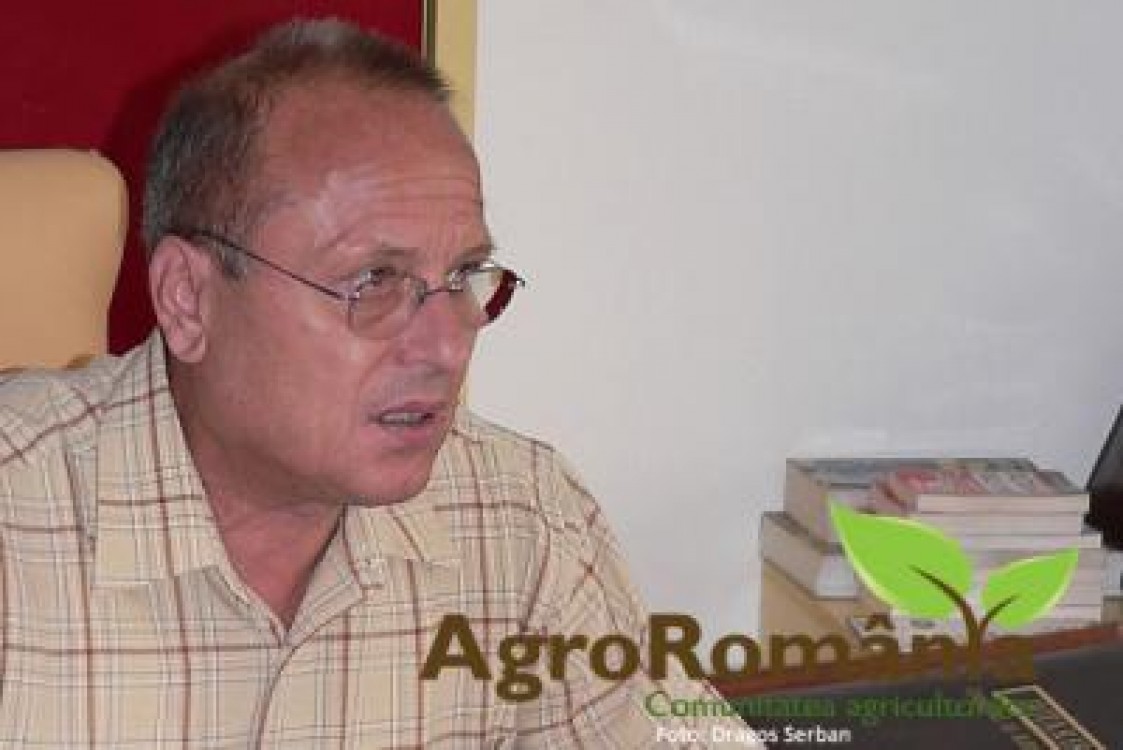Spicul SA a intrat in insolventa