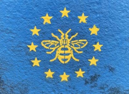 Comisia Europeana ofera apicultorilor 120 de milioane de euro