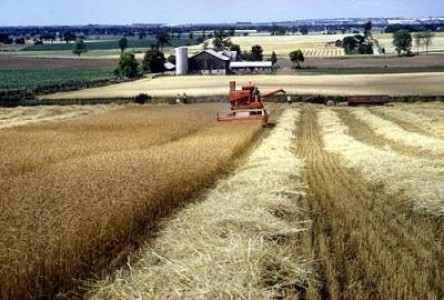 Brasov: Masura 141 Sprijinirea fermelor agricole de semi-subzistenta - pana pe 17 august