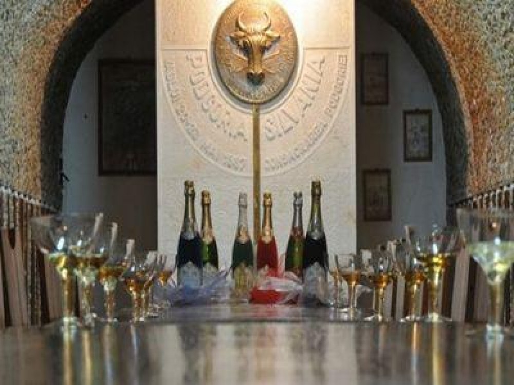 Patronatele din industria vinului cer acciza zero pentru vinurile spumante