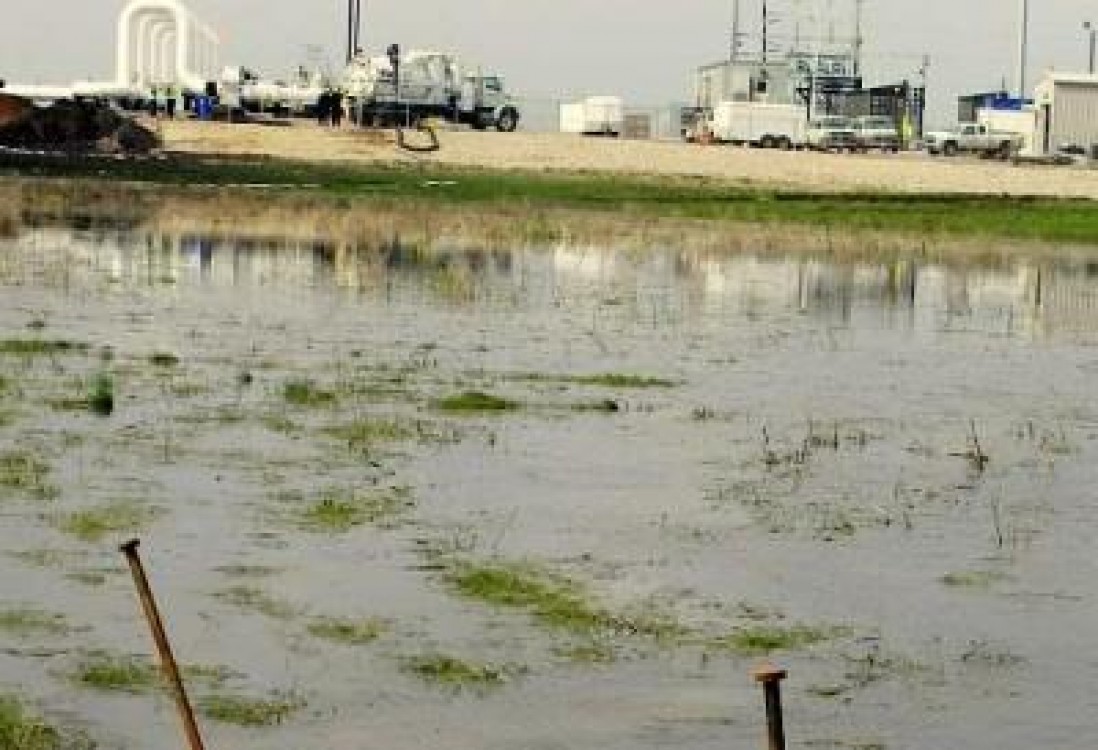 Fermierii afectati de inundatii pot apela gratuit la statiile de desecare ale ANIF