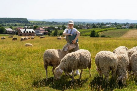 AZM: Finantare de 300.000 de lei pentru stane