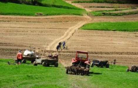 Stanescu, deputat: Terenul agricol romanesc, desprins de zona de specula