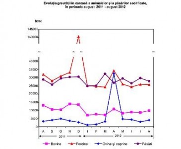 INS: Sacrificarile de animale si pasari si productia de carne in luna august 2012