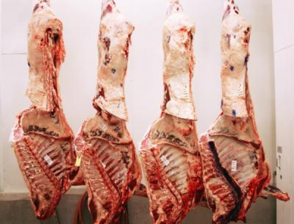 Statistici privind productia de carne in luna martie 2013