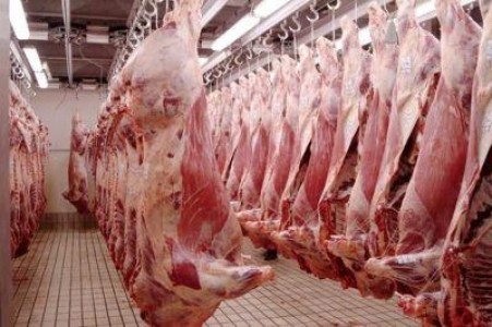 Statistici: Numarul animalelor sacrificate in luna februarie