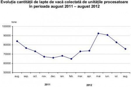 INS: Laptele de vaca colectat si productia de produse lactate in luna august