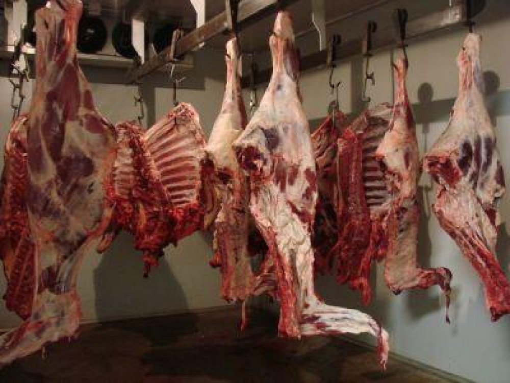 Statistici: Numarul animalelor sacrificate in luna ianuarie 2013