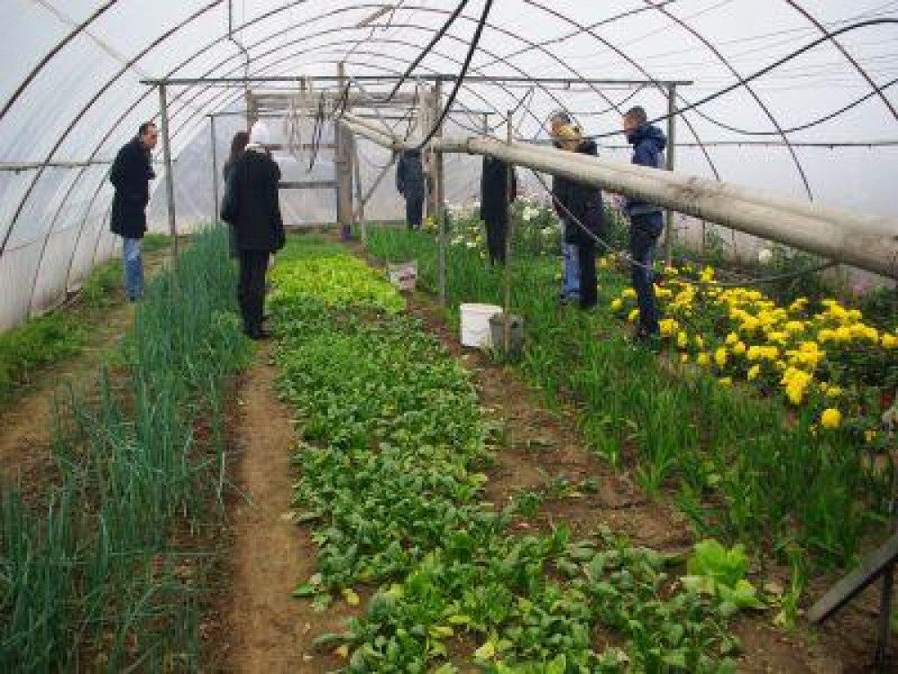 Agrostar: Statiunile de cercetare trebuie restructurate iar finantarea sa se faca pe baza de proiecte