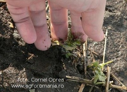 In sfarsit, vom avea o strategie pe termen lung in agricultura!