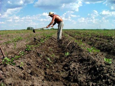 Vom avea, in sfarsit, o strategie pe termen lung in agricultura?