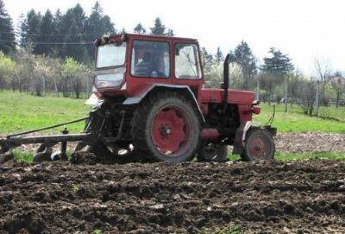 Subventia pe suprafata 2013: Cate cereri s-au depus pana in prezent