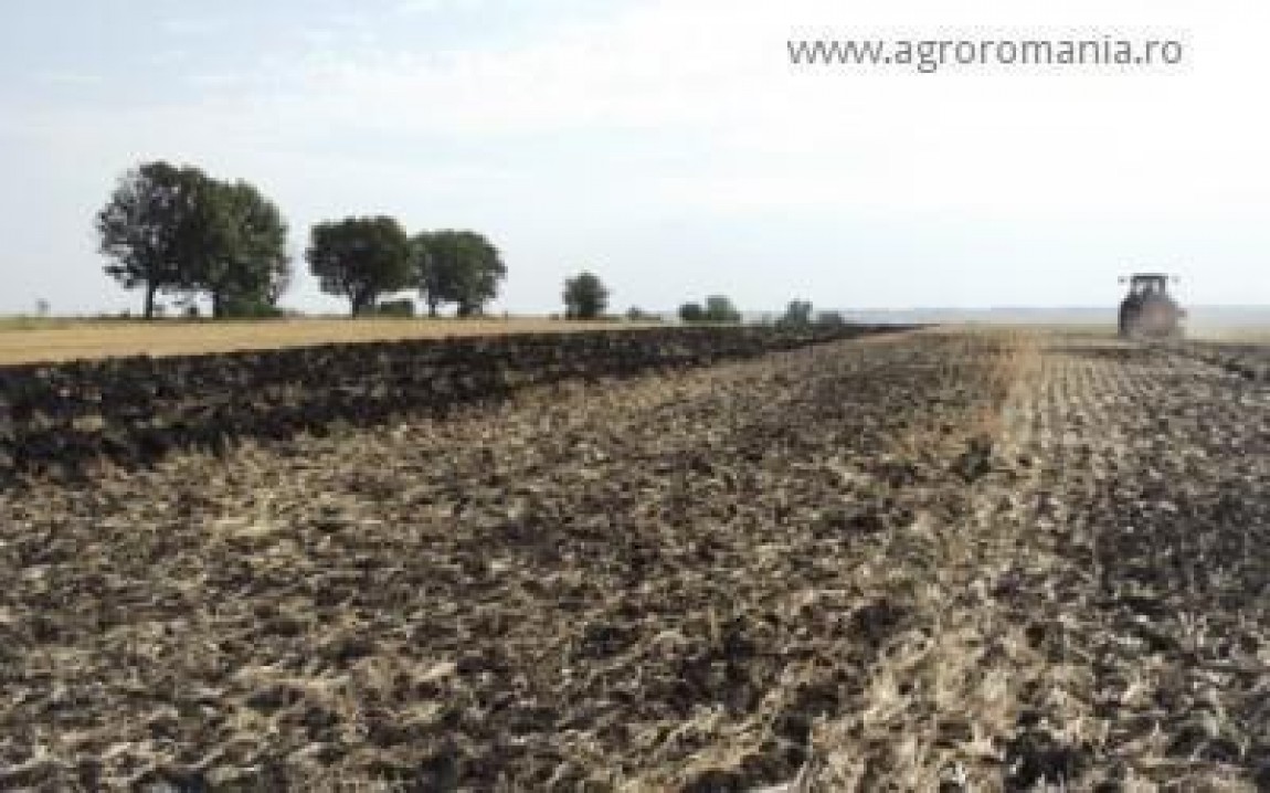 Subventia pe suprafata in 2014 va fi de 154 euro/ha, in afara de banii complementari de la Guvern