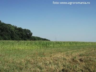 Fermierii vor 220 de euro subventie pe hectar si anunta proteste