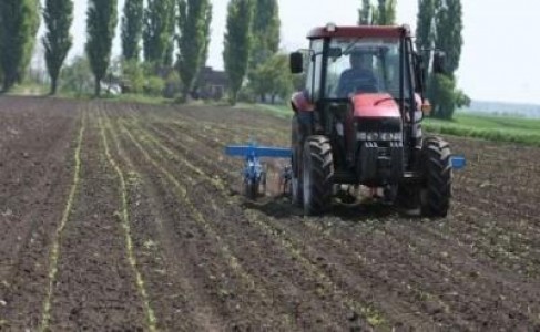 Cat este subventia pe suprafata aprobata de Guvern in octombrie 2012