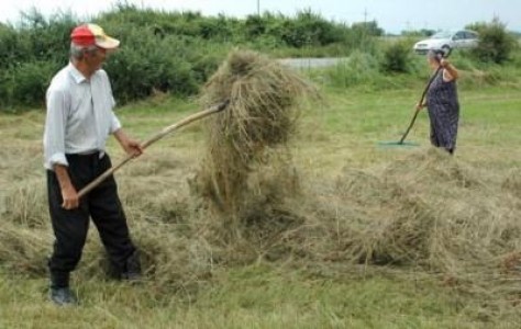 Beneficiarii subventiilor pentru agromediu si cei din zone defavorizate vor primi un avans incepand din 5 septembrie