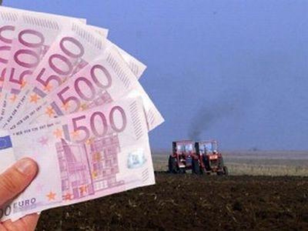 Care sunt cuantumurile subventiilor aprobate de guvern
