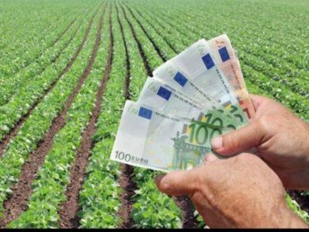 APIA a efectuat platile nationale direct complementare si cele de agromediu