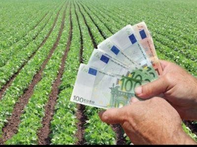 Guvernul a aprobat o noua schema de plati in agricultura: Platile Nationale Tranzitorii