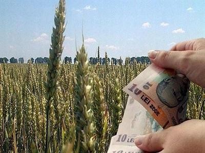 Ce subventii vor fi platite fermierilor in 2018