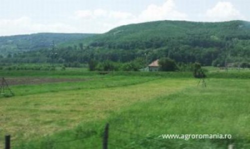 Circa 200.000 de fermieri vor ramane fara subventii daca nu se asociaza